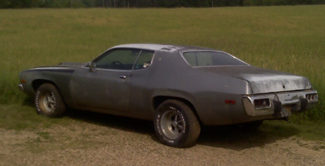 1973 Plymouth Roadrunner By Tim Nesbitt image 1.